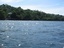 Beach - Ocean -  Blue waters - Davao Gulf - Samal Island, Philippines