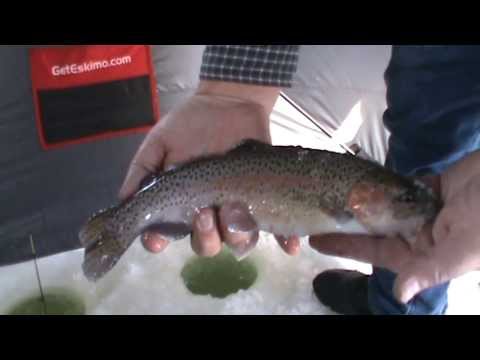 Ice Fishing Mantua Reservoir - Utah Outdoor Activities