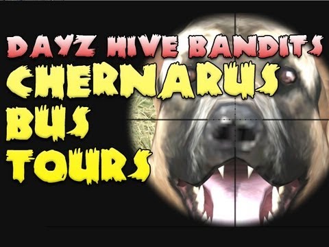 Chernarus Bus Tours! - Day Z Hive Bandits Episode Ten