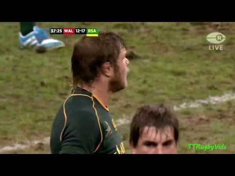 Wales vs Springboks 2013