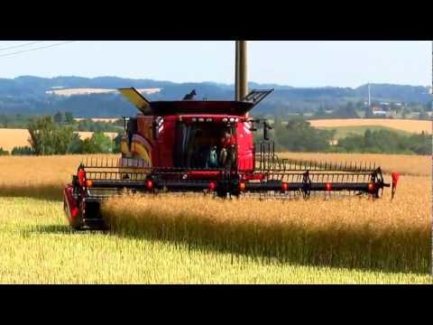 NEW Case IH 8120 Axial-Flow part.I rapeseed harvest | 720p HD video |