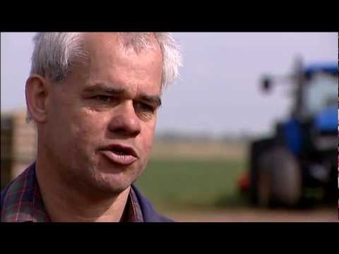 Rapeseed oil Producer Draining the Fens.