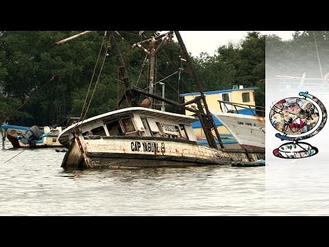 How Shrimping Has Destroyed Ecuador's Ecosystem