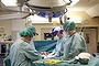 Operation: Surgeons at the University of Gothenburg in Sweden practice transplanting wombs.