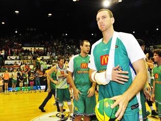 Misfiring Crocs hammered by Taipans