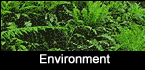 environment