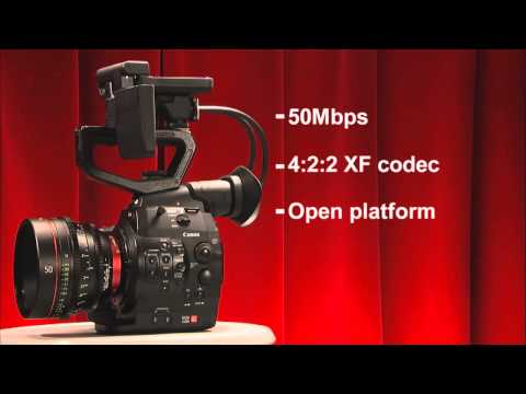 Information Overdrive: Professional Canon Video Cameras 5D, C100, C300, C500