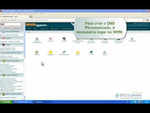 Como Criar DNS Personalizado no WHM