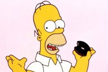 The Simpsons character, Homer Simpson