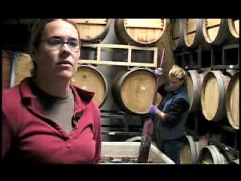 Winery - Wine - Making Wine in Colorado