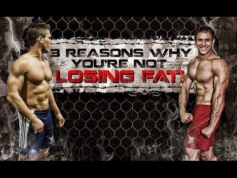 3 Reasons Why You're Not Losing FAT!