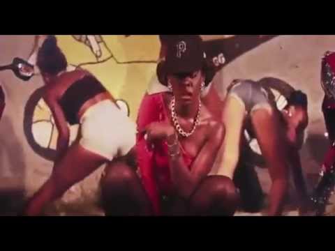 Top 30 Newest Dancehall Hits - Official Music Video Mix ( Jan - April 2013)