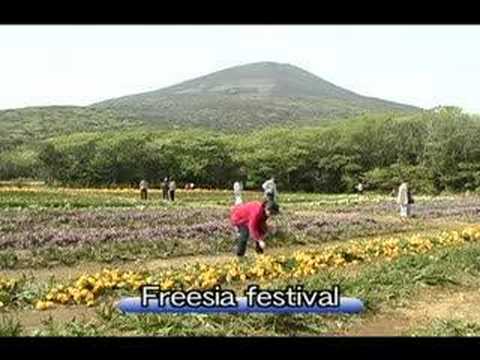 Tokyo islands (English)