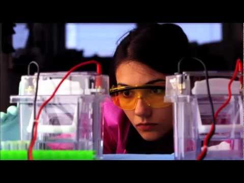 Biomedical Engineer - Profiles Of Scientists And Engineers