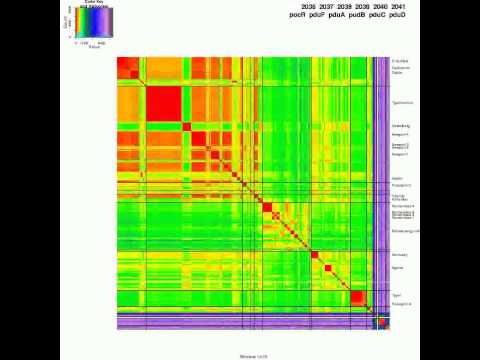 Salmonella core genome: Genetic distance among 408 Salmonella measured along the genome