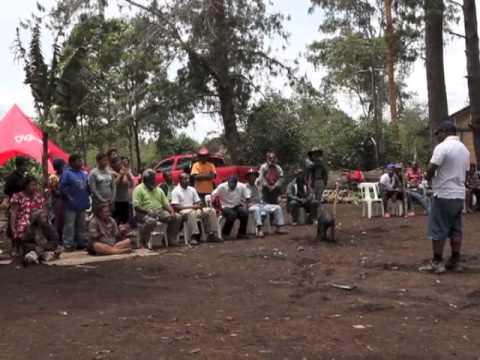 Papua New Guinea,Highlands Bride Price Ceremony,