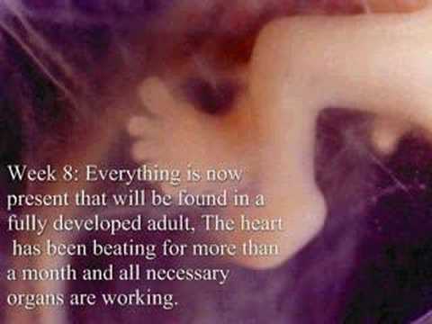 Miracle of Life, Anti Abortion, fetal development pro-life,