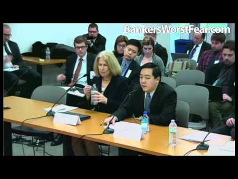 New York Public Hearing on Virtual Currencies, Panel 2 Jan 28 2014 (Bitcoin)