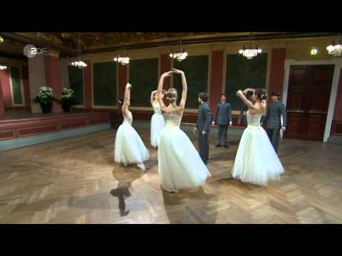 Johann Strauss II - The Blue Danube Waltz - Vienna Philharmonic / Vals del Danubio Azul