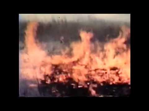 Prairie Burn - 1969