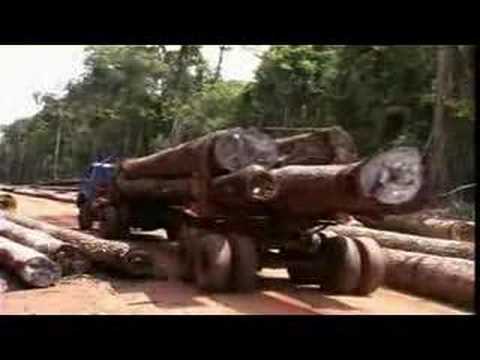 Cambodia: ILLEGAL LOGGING BY CAMBODIA's ELITE (1of4) [EN&KH]