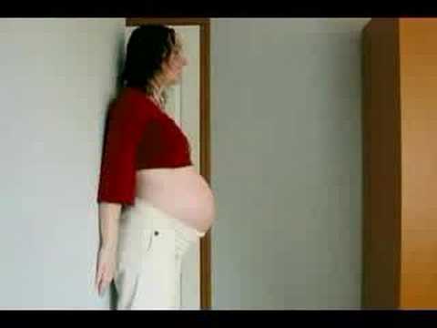 9 months of gestation in 20 seconds - New Version!