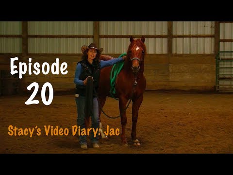 Stacy's Video Diary: Jac- Episode 20- Training a horse after time off; achieving excellence