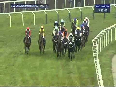 2012 Betfred Cheltenham Gold Cup Chase - Synchronised - AP McCoy