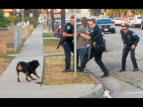 Police Shoot and Kill Dog in Front of Owner (Graphic Video)