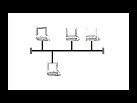 bus topology