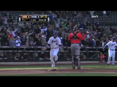 Fight: The 2013 New York Mets