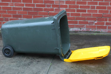 Wheelie Bin