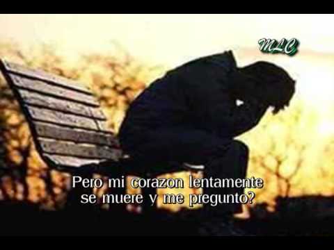 MLC - Video Cantos Cristianos - Si Me Tocaras