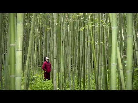 Japan by Bicycle (Complete Documentary)