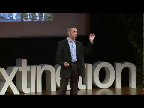 The use of cloning and stem cells to resurrect life: Robert Lanza at TEDxDeExtinction