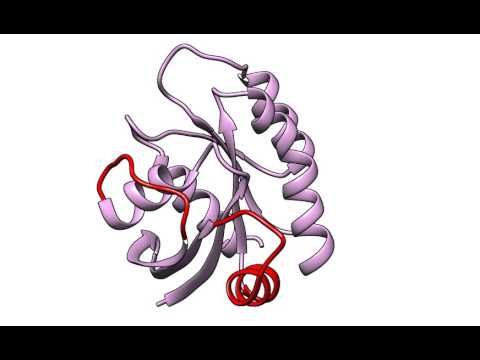 Conformational Change from active (GTP bound) to inactive (GDP bound) state of H-Ras protein.