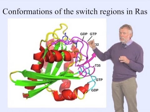 Alfred Wittinghofer Part 1: GTP-binding Proteins as Molecular Switches