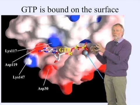 Alfred Wittinghofer Part 2: GTPase Reactions and Diseases