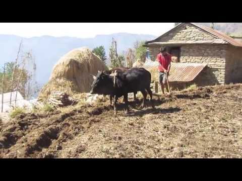 Peace Corps Nepal: My Nepali Home