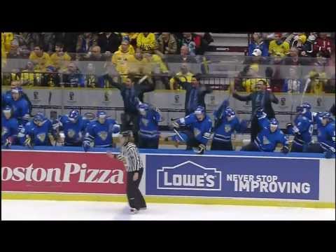 Rasmus Ristolainen Overtime Game Winner. Golden Goal. Finland 3 Sweden 2. January 5th 2014