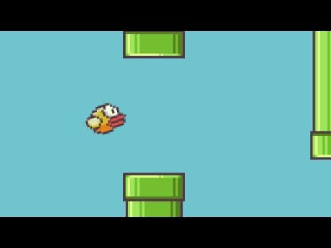 Flappy Bird Video Review