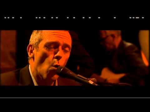 Hugh Laurie - Wild Honey (live)