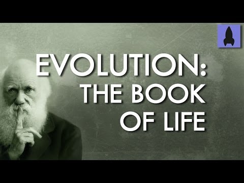 Evolution And The Book Of Life | It's Okay to be Smart | PBS Digital Studios