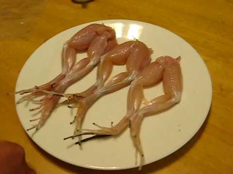 Frog Legs Dancing With A Little Salt