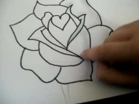 How To Draw A Rose