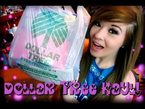 Dollar Tree Haul! (And A Little Bit Of Rambling)