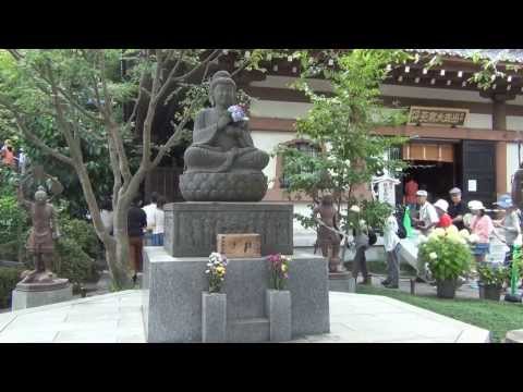 Hase dera, Kamakura Temple, Kanagawa, Japan, Video 2