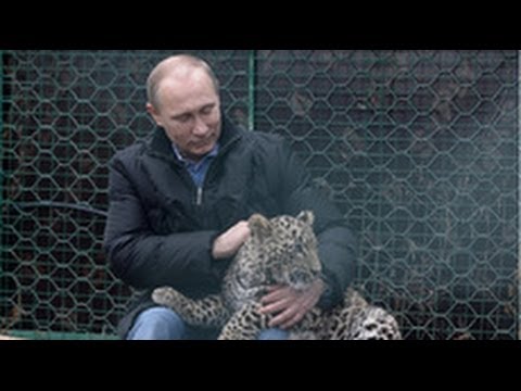 Putin enters leopard cage at Sochi National Park