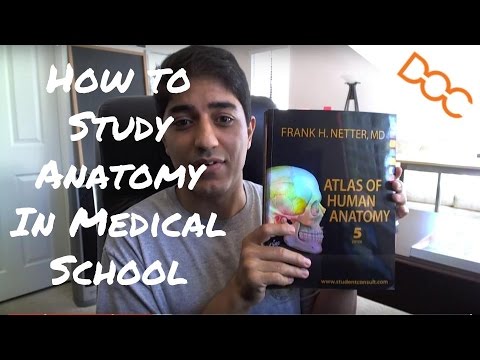 How to Study Anatomy in Medical School