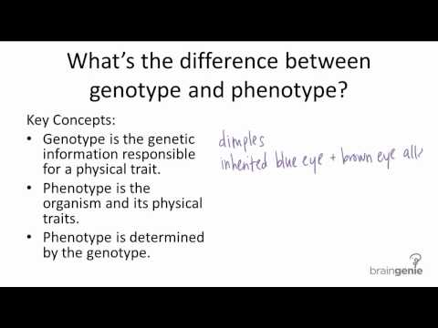 9.1.3 Genotype v. Phenotype